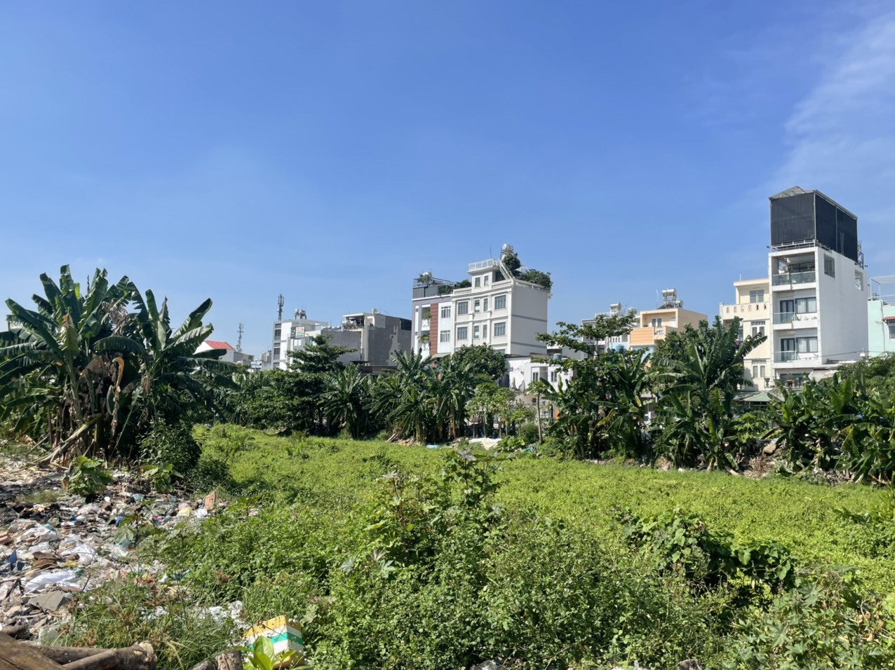 Nhiều khu vực kênh Tham Lương bị xả rác gây ô nhiễm môi trường.