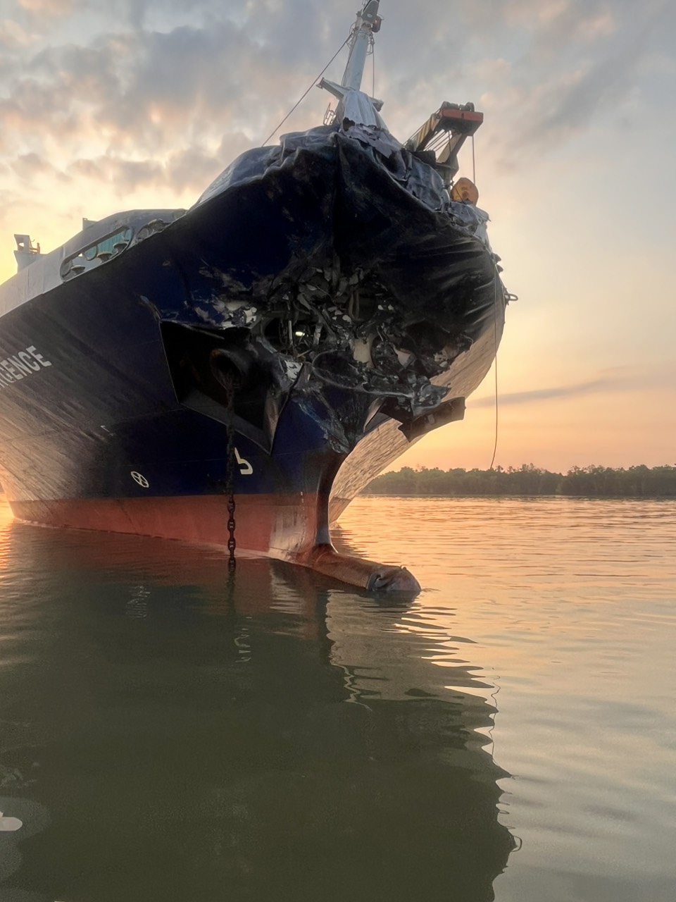Phần mui tàu container RESURGENCE bị hư hại. Ảnh: Cảng vụ Hàng hải TPHCM