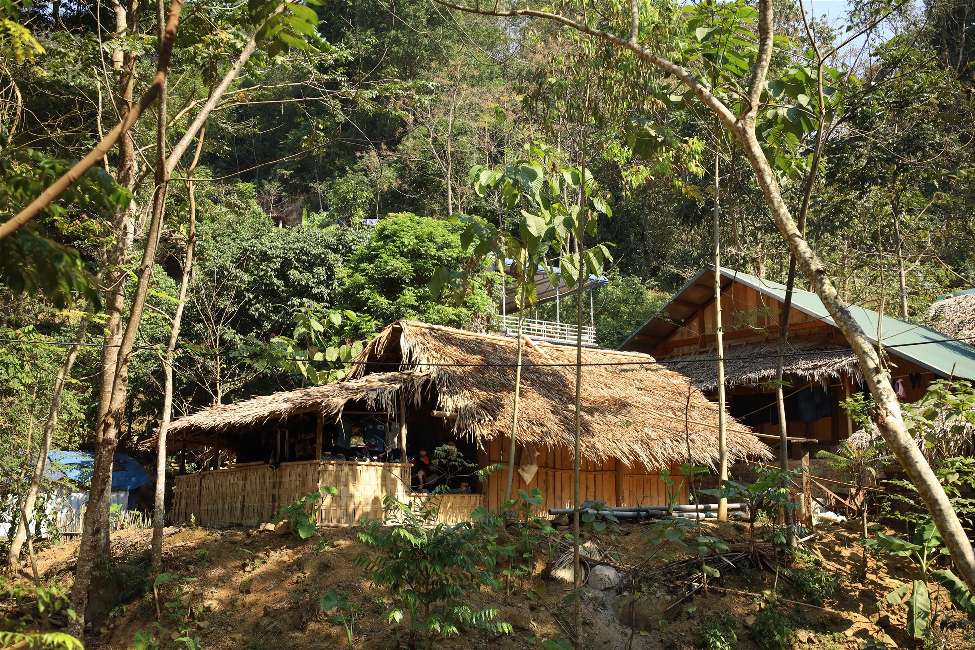 Nhà tranh lợp lá ở bản Sưng (Bắc Hà, Hòa Bình).