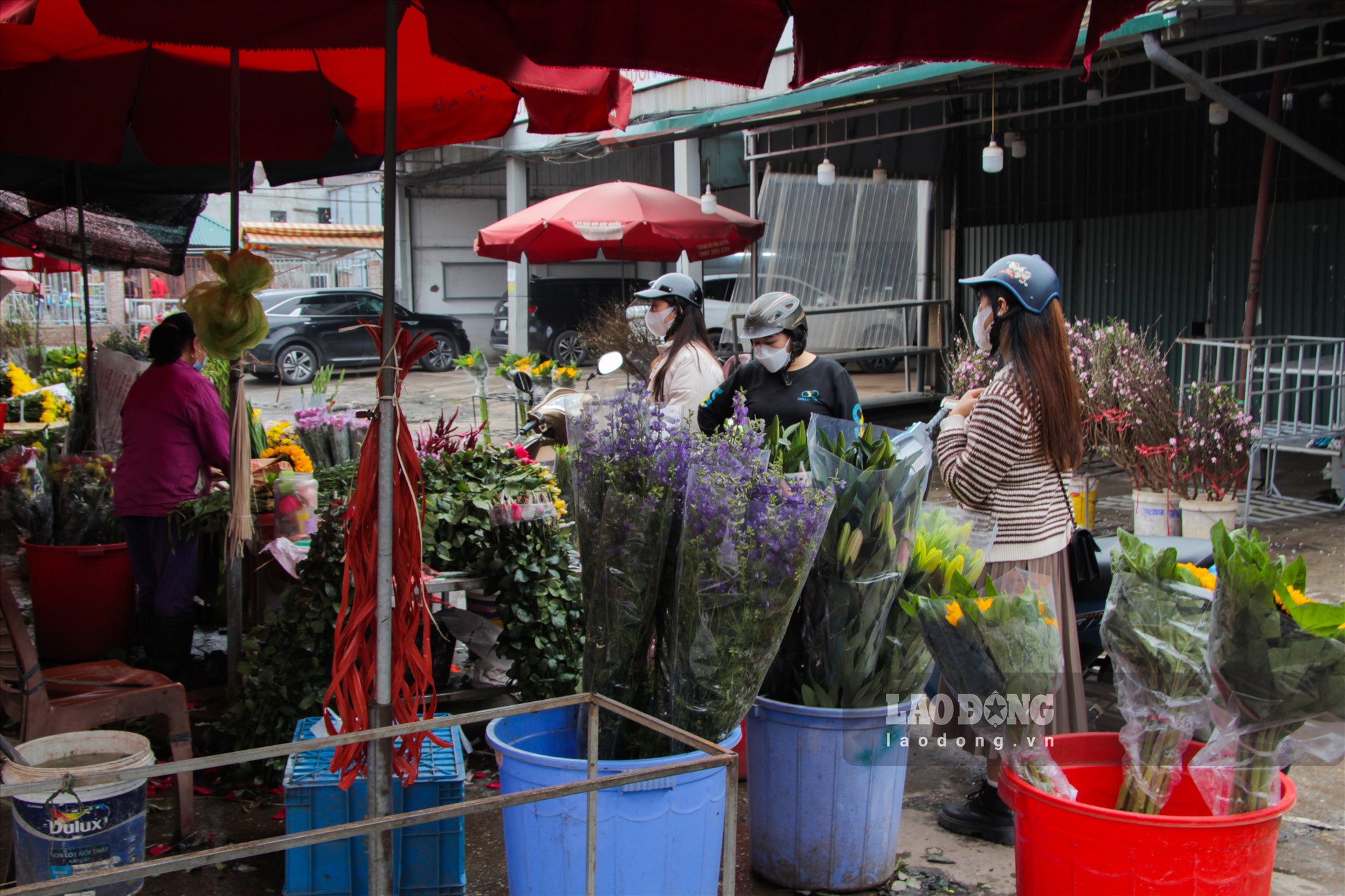Khách mua hoa tươi tại chợ đánh giá, giá hoa năm nay cao hơn so với cùng thời điểm năm 2022.