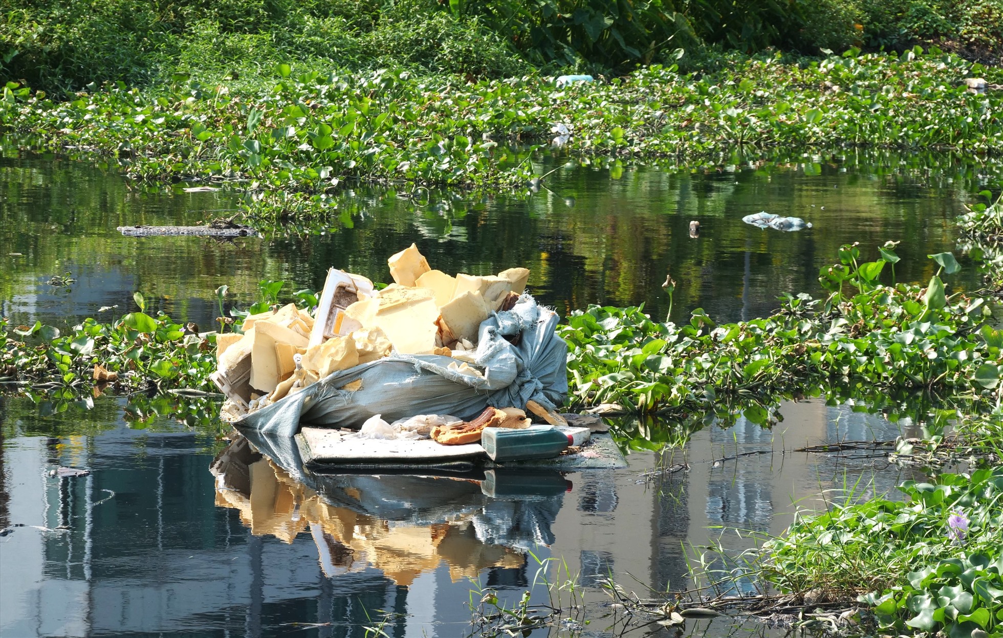 Nước ở kênh Tham Lương đen kịt, tù động nhiều rác thải và phế liệu, bốc mùi hôi thối.