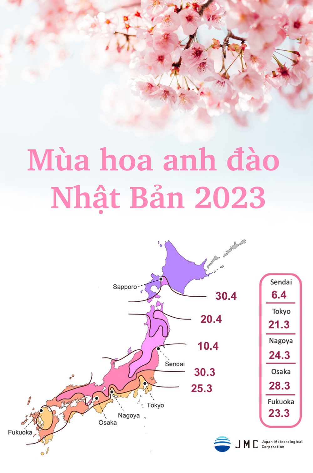 Mùa Hoa Anh Đào Nhật Bản 2023
