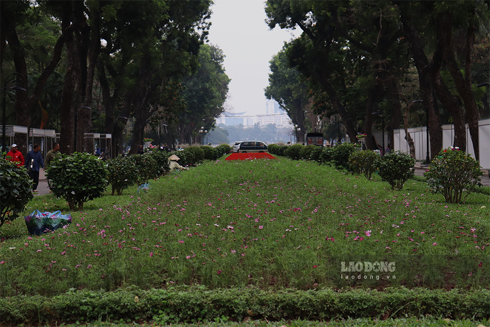 Khu vực trung tâm, phía sau cổng chính của công viên cũng được làm lại và trồng thêm nhiều loại hoa.