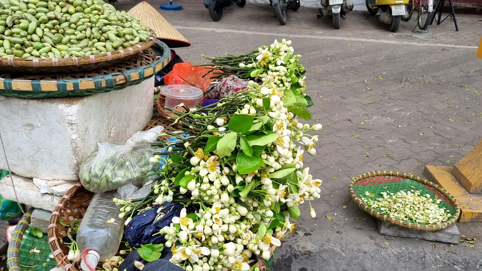 Hoa bưởi được các tiểu thương kết thành bó nhỏ. Mỗi bó khoảng 3 lạng, có giá giao động từ 30.000 - 35.000 đồng/lạng.