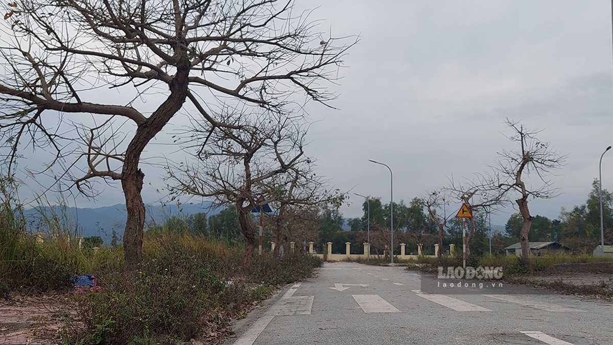 Dự án Khu nhà ở Tân Thanh được UBND tỉnh Điện Biên chấp thuận chủ trương đầu tư từ tháng 10.2013.