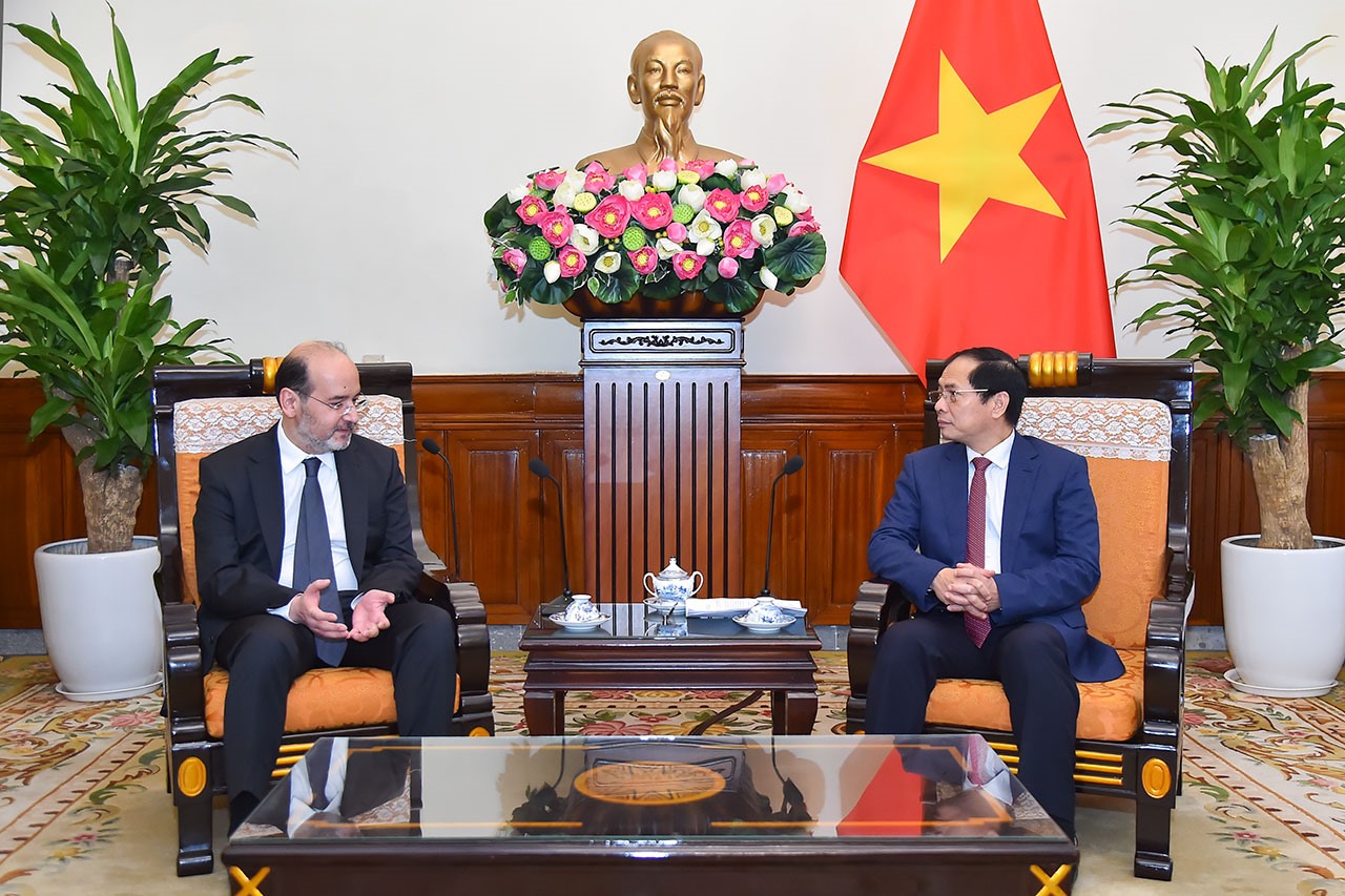 Bộ trưởng Ngoại giao Bùi Thanh Sơn tiếp Đại sứ Thổ Nhĩ Kỳ tại Việt Nam Haldun Tekneci. Ảnh: Bộ Ngoại giao