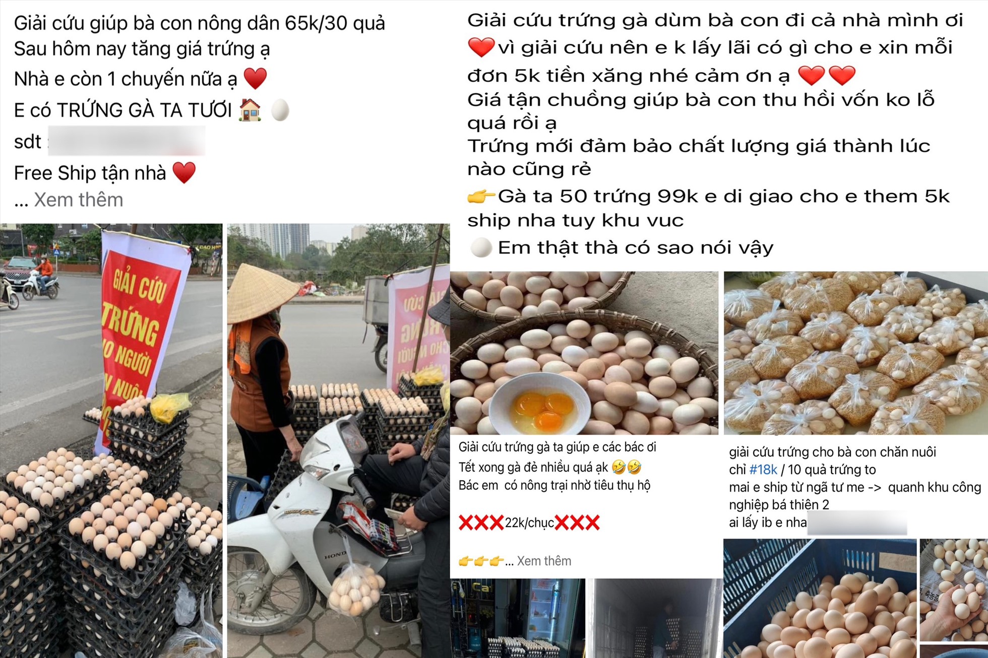 Trứng gà được rao bán tràn lan trên chợ mạng. Ảnh: Nguyễn Thúy