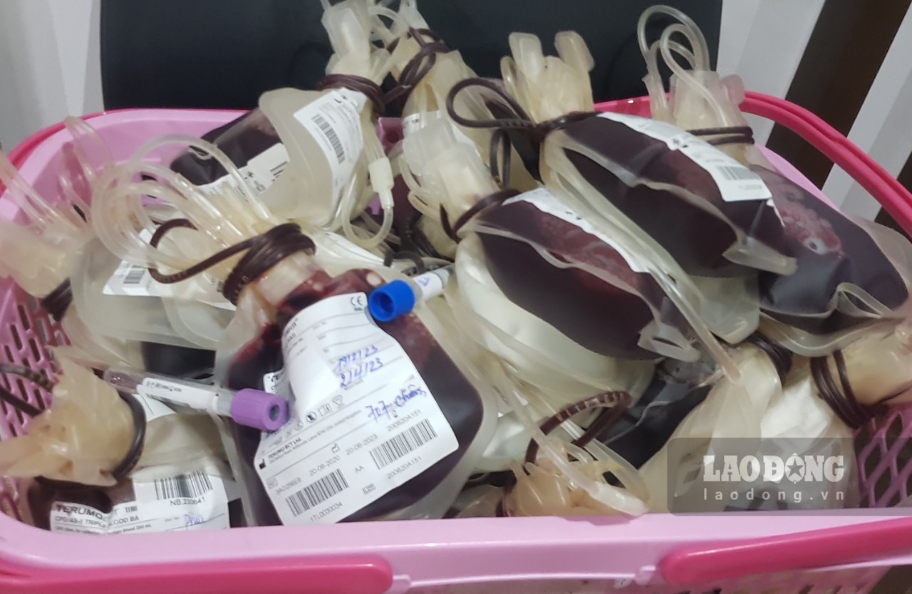 Toàn bộ số máu thu được sau khi làm các xét nghiệp sàng lọc sẽ được chuyển đến các bệnh viện để  thực hiện nhiệm vụ cấp cứu và điều trị cho người bệnh. Ảnh: Nguyễn Trường