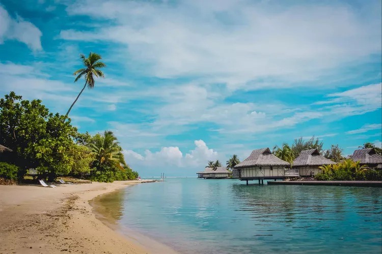Ảnh: MSC CRUISES