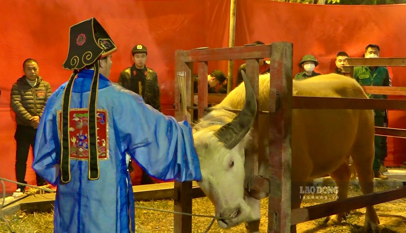 Lễ mổ trâu trắng được cử hành vào giờ Tý - thời khắc đầu tiên của ngày Mão đầu năm. Trâu dùng để tế phải là trâu đực trắng, to khỏe, được tuyển chọn thật kỹ lưỡng từ nhiều ngày trước khi làm lễ.