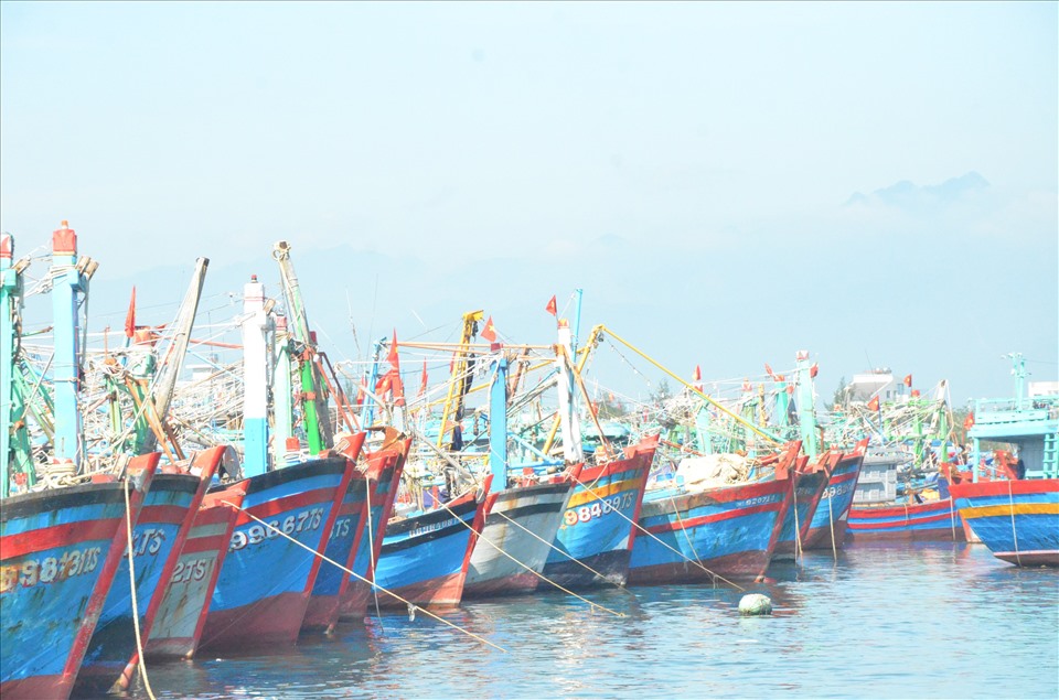 Âu thuyền Thọ Quang, TP Đà Nẵng có khoảng 450-500 tàu cá đang neo đậu và đang chuẩn bị cho những chuyển vươn khơi đầu năm.