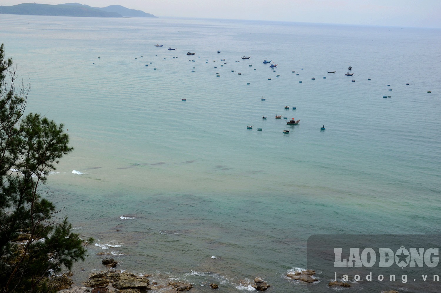 Vịnh Việt Thanh nơi Nhà máy Bột- Giấy VNT-19 dự kiến đặt ống xả thải là nơi khai thác hải sản của hàng nghìn người dân. Ảnh: Ngọc Viên