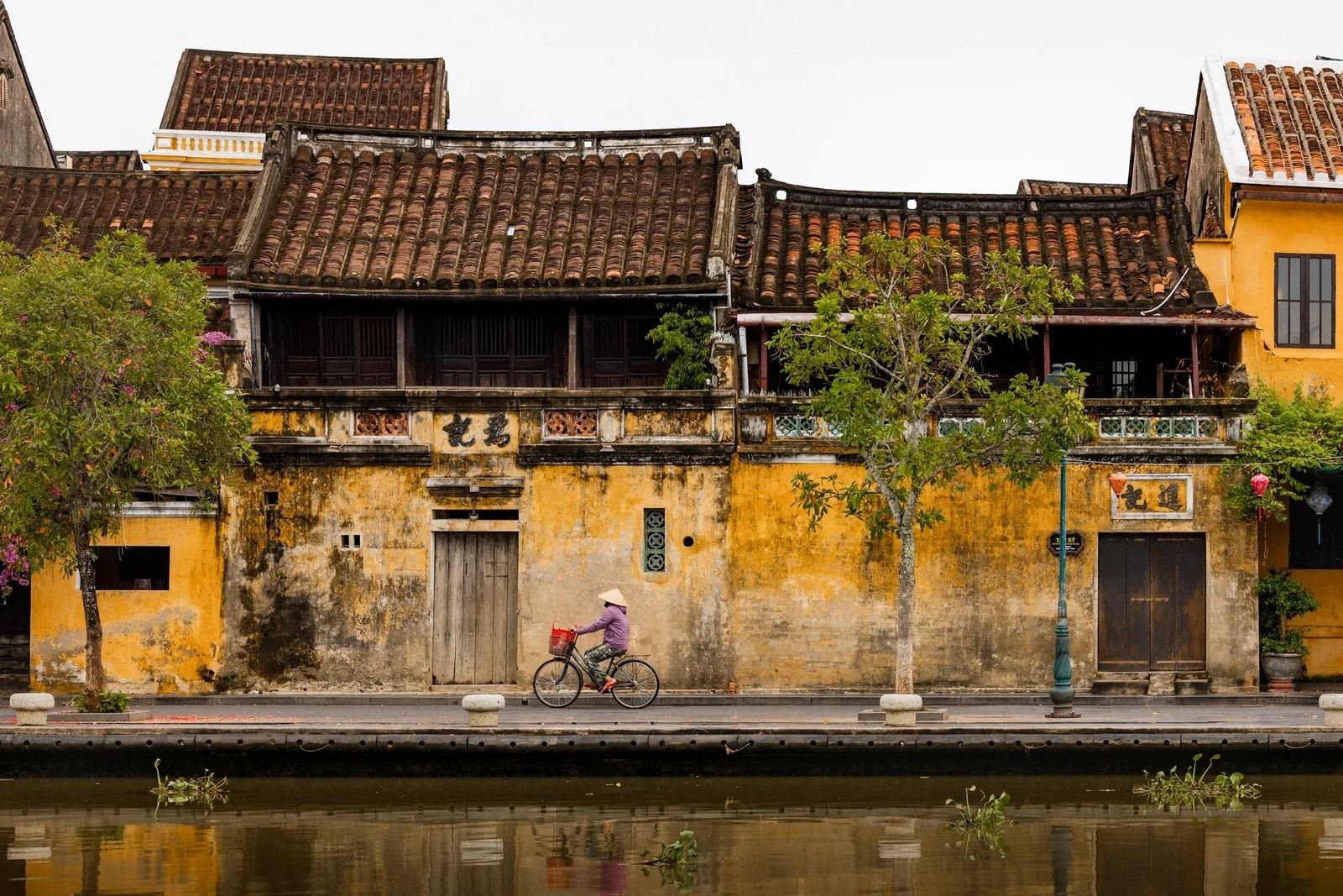 Một người phụ nữ đạp xe về phía chợ buổi sáng ở thị trấn ven sông Hội An. Ảnh: Ben Richards