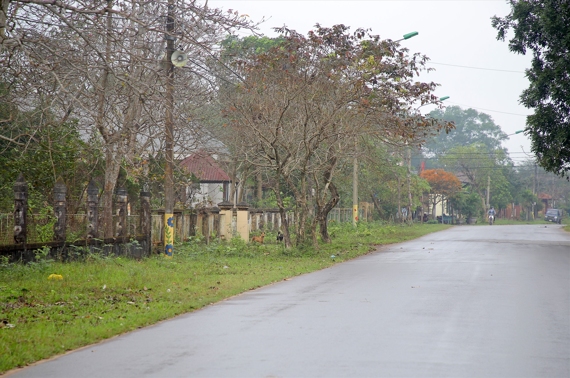 Trên đường Nguyễn Hoàng ở thị trấn Ái Tử, huyện Triệu Phong, tỉnh Quảng Trị hiện có 3 trụ sở liền kề nhau không được sử dụng.