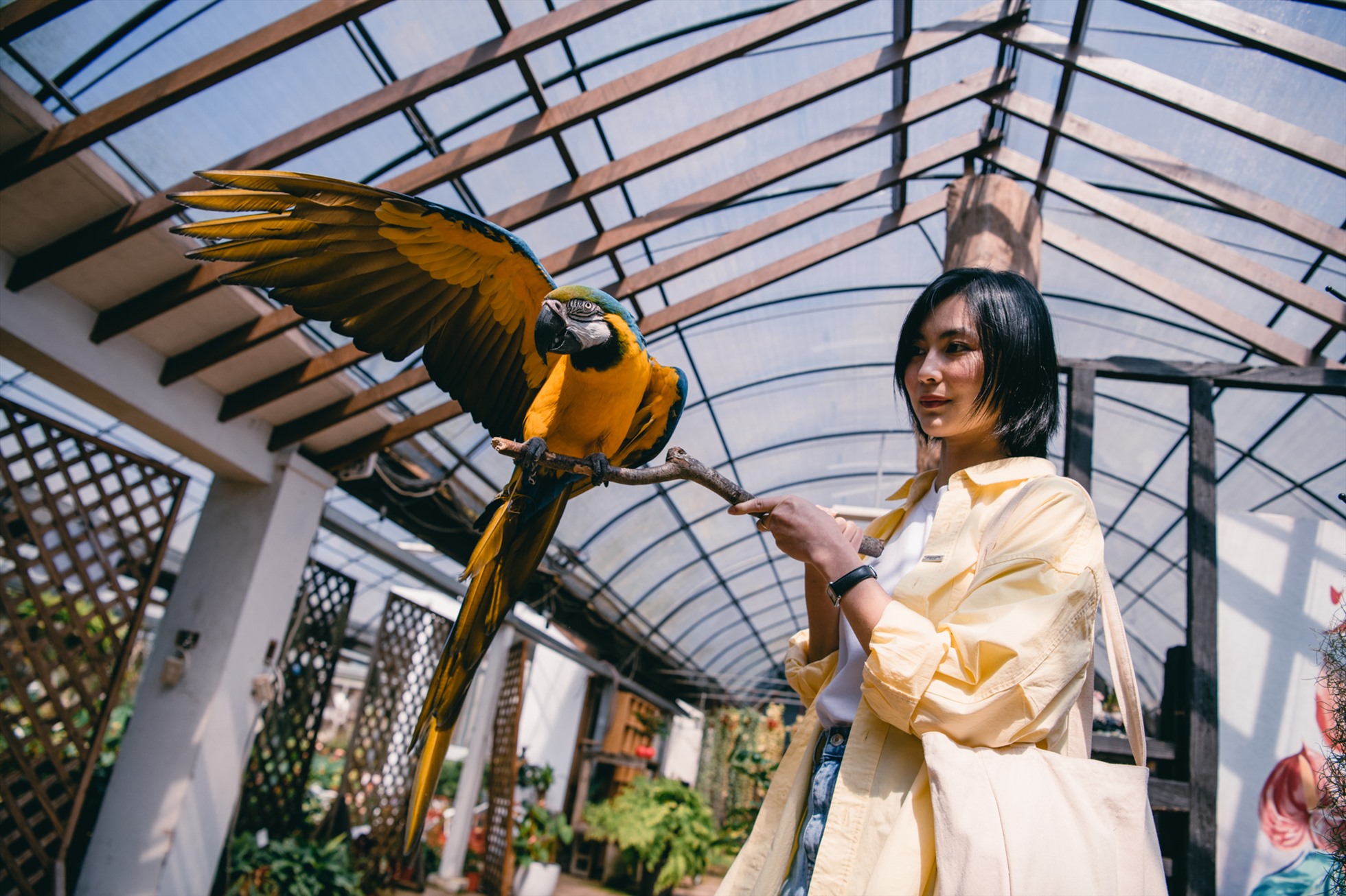 Ảnh: Vũ Bảo Khánh