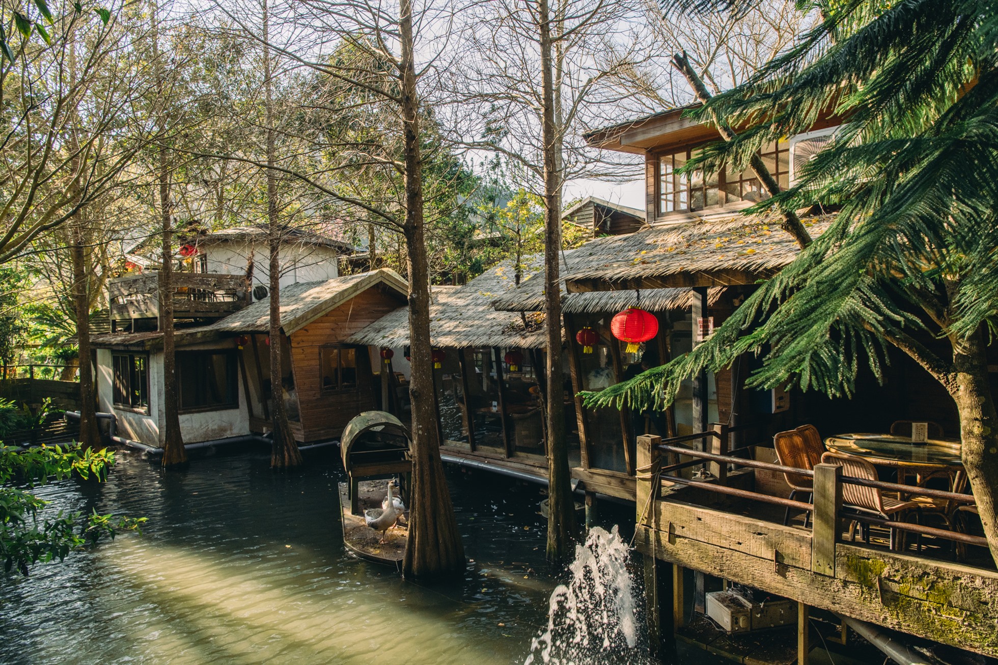 Ảnh: Vũ Bảo Khánh