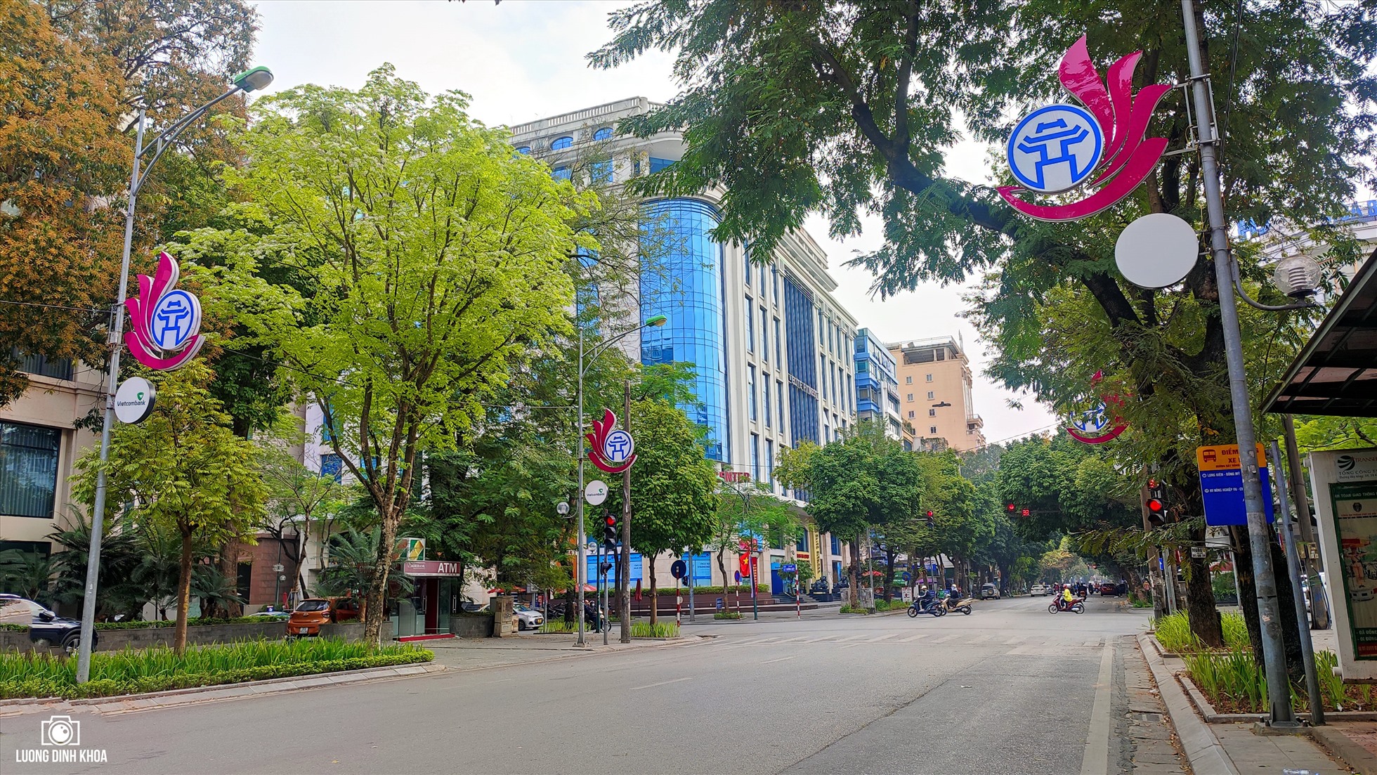 Hoa Sưa vội nở và cũng sớm tàn. Mỗi mùa hoa kéo dài trong khoảng từ 2-3 tuần. Khi hoa rụng hết cũng là lúc vòm lá xanh um một màu cốm non dịu dàng.