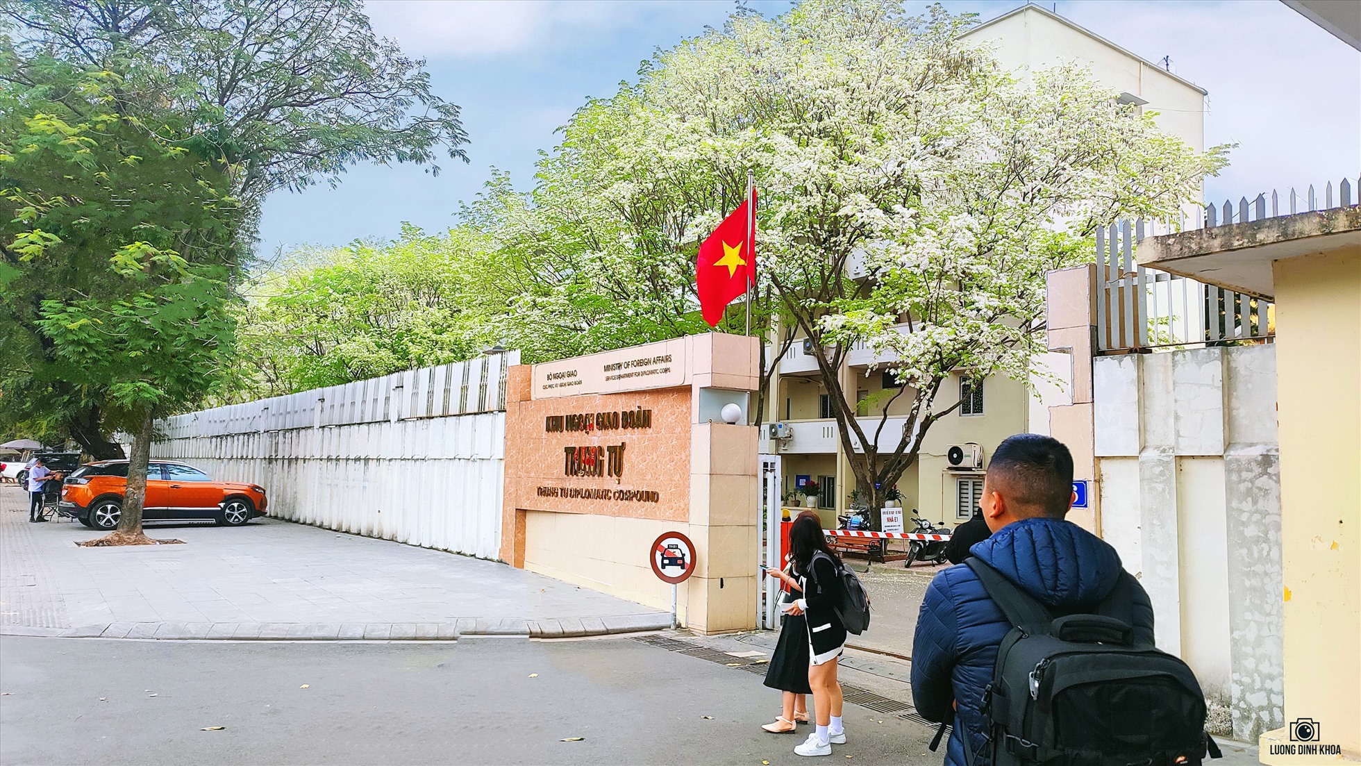 Trong khuôn viên của khu Ngoại giao đoàn – trên đường Đặng Văn Ngữ, cạnh hồ Xã Đàn là cả một hàng Sưa nối nhau nở hoa trắng xóa.