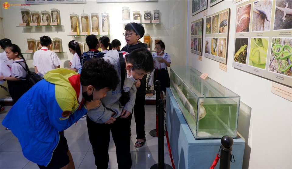 Các hoạt động vui chơi kết hợp với tìm hiểu văn hóa lịch sử tại Bảo tàng Đà Nẵng. Ảnh: Nguyễn Linh
