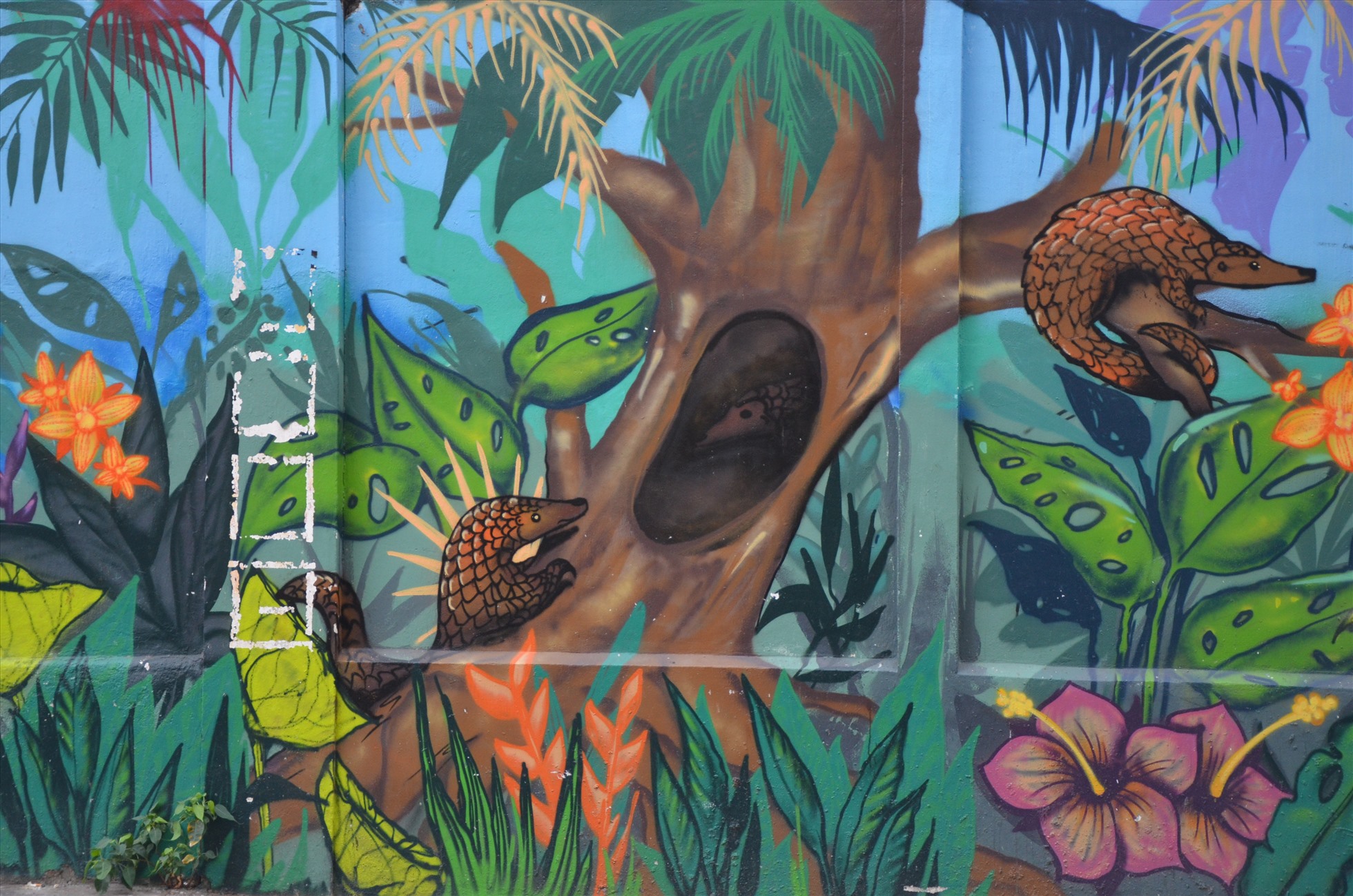bức tranh trên đường Mai Thị Lựu được vẽ có chiều dài khoảng 20m với loài động vật chủ đạo là tê tê