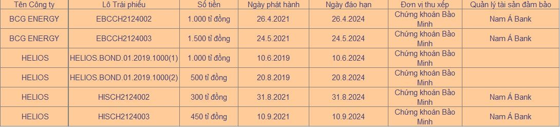 Một số lô trái phiếu liên quan Bamboo Capital do Chứng khoán Bảo Minh thu xếp. Ảnh: Quang Dân.