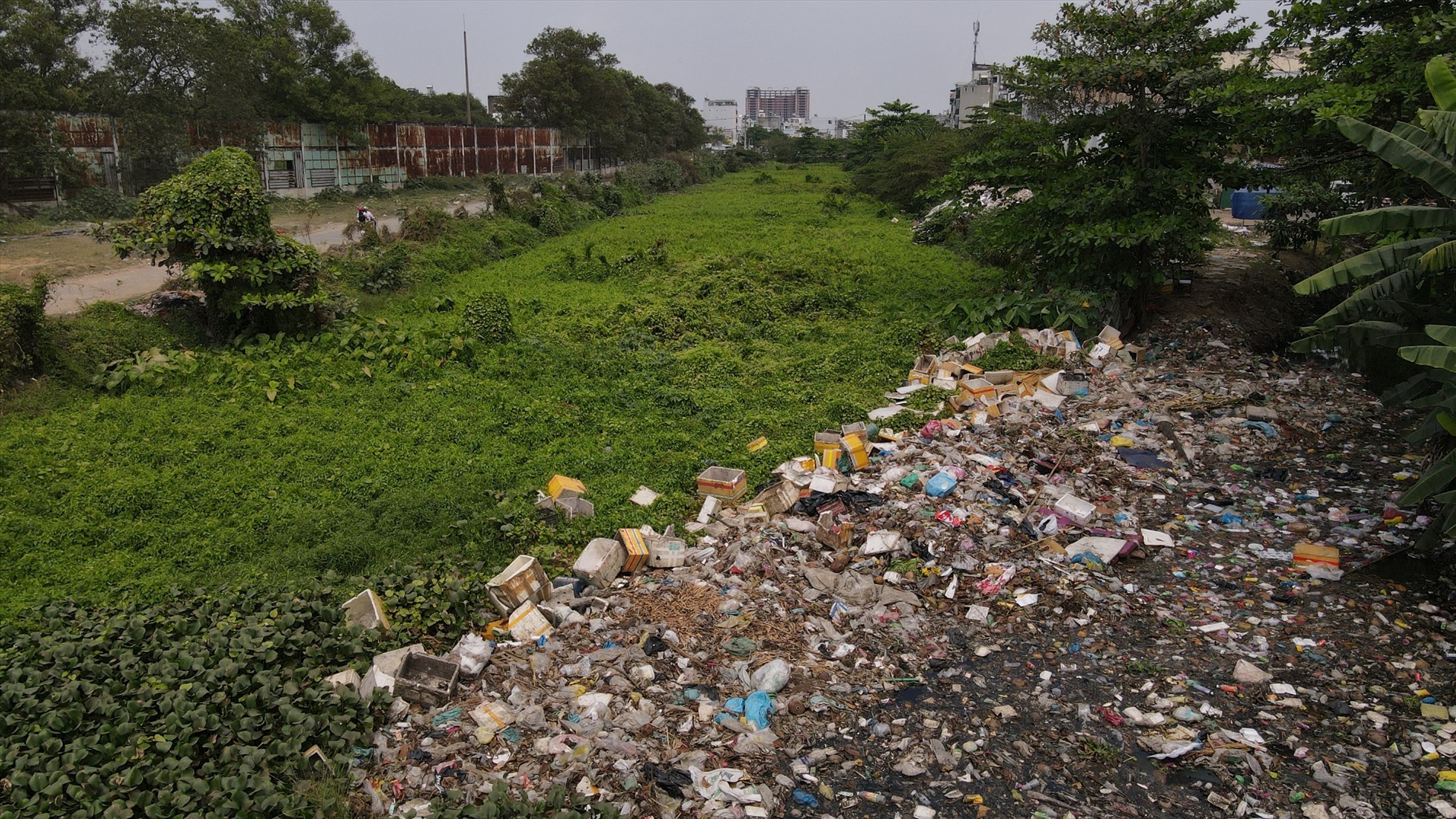 Một đoạn kênh Tham Lương - Bến Cát đầy lục bình và rác thải.  Ảnh: Anh Tú