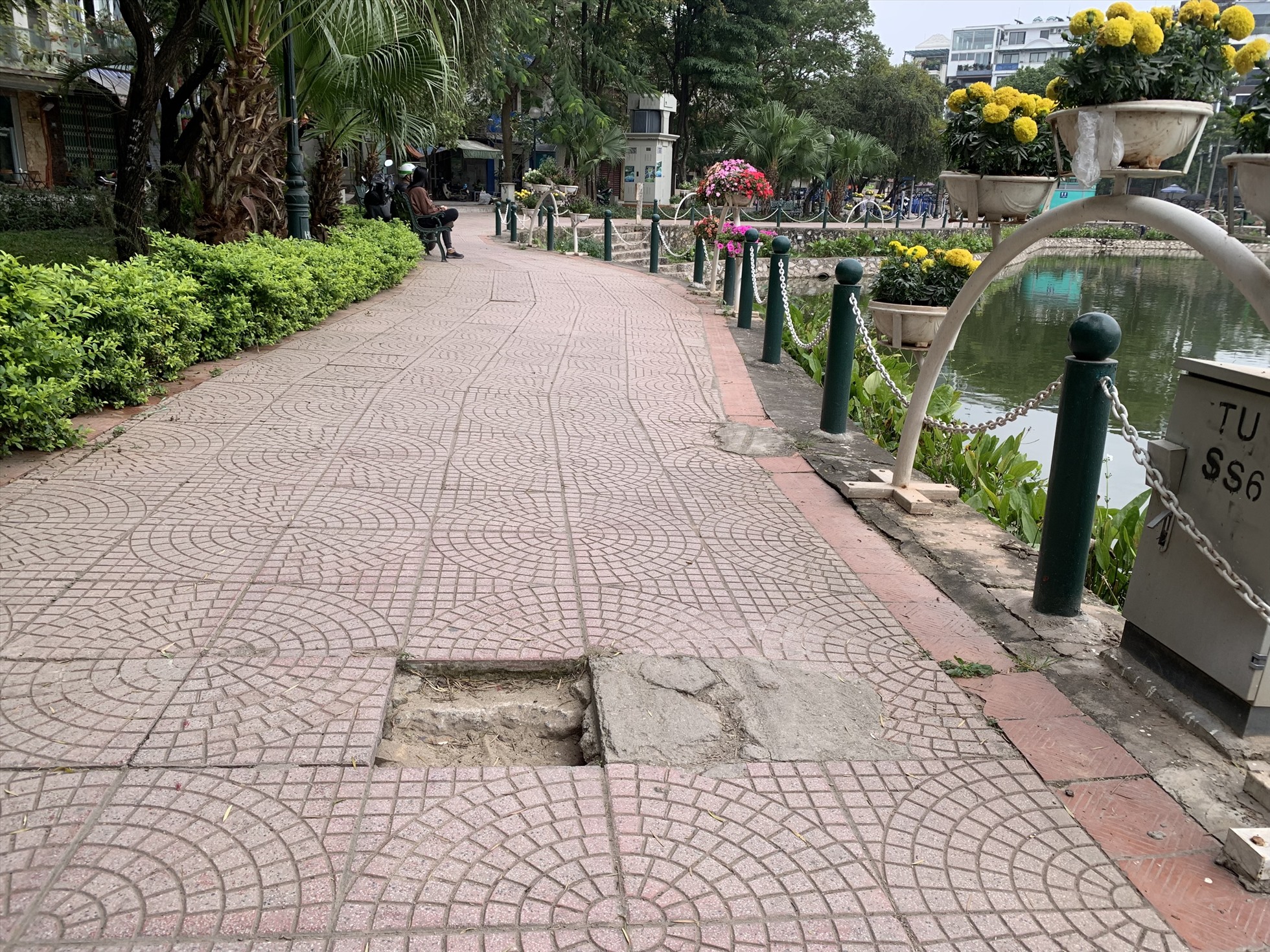 Gạch ốp đường đi bộ bị bung tạo thành hố to.
