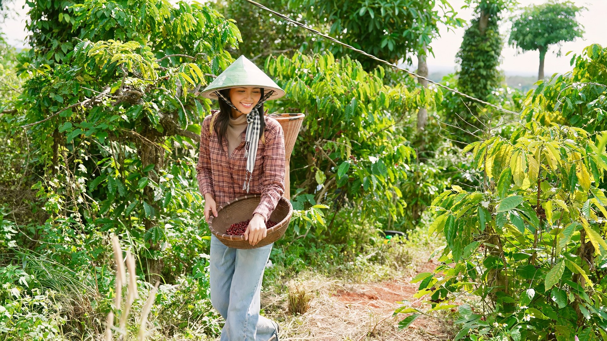 Người đẹp tích cực tham gia các hoạt động quảng bá, tuyên truyền, cho khán giả hiểu hơn về cà phê Buôn Ma Thuột. Ảnh: Facebook nhân vật