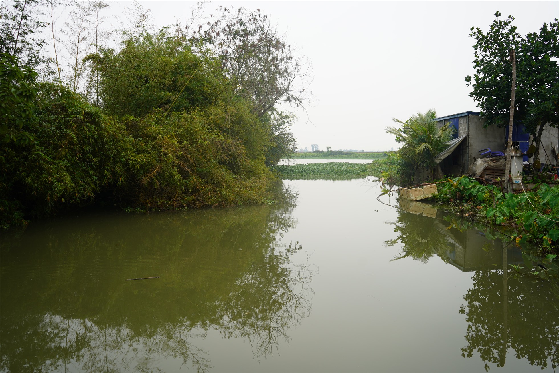 Kênh thuỷ lợi ô nhiễm chảy thẳng ra sông Đa Độ. Ảnh: Băng Tâm