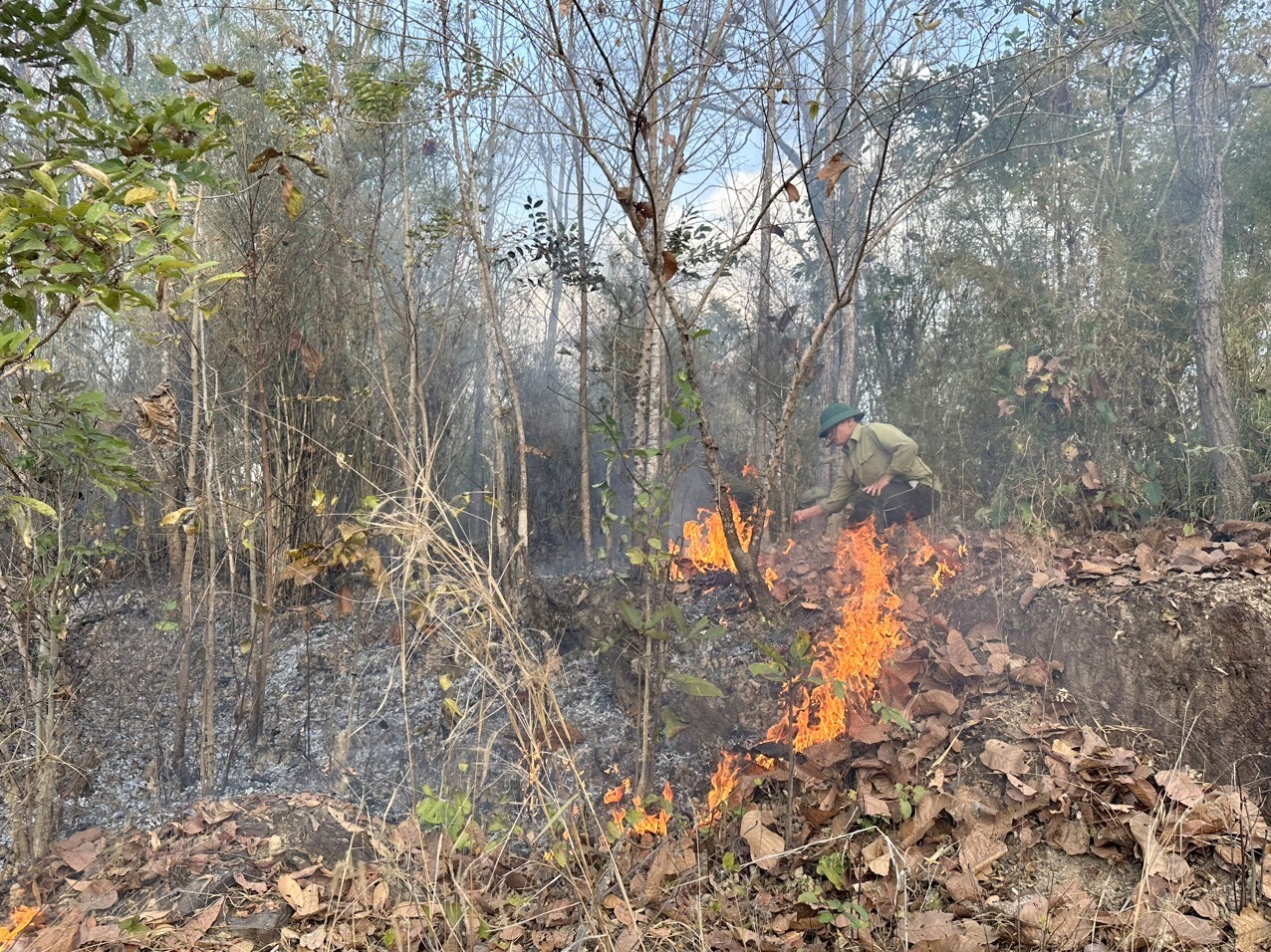 Lực lượng quản lý bảo vệ rừng của Công ty TNHH MTV Lâm nghiệp Đắk Win chủ động ngăn chặn giặc lửa. Ảnh: Phan Tuấn