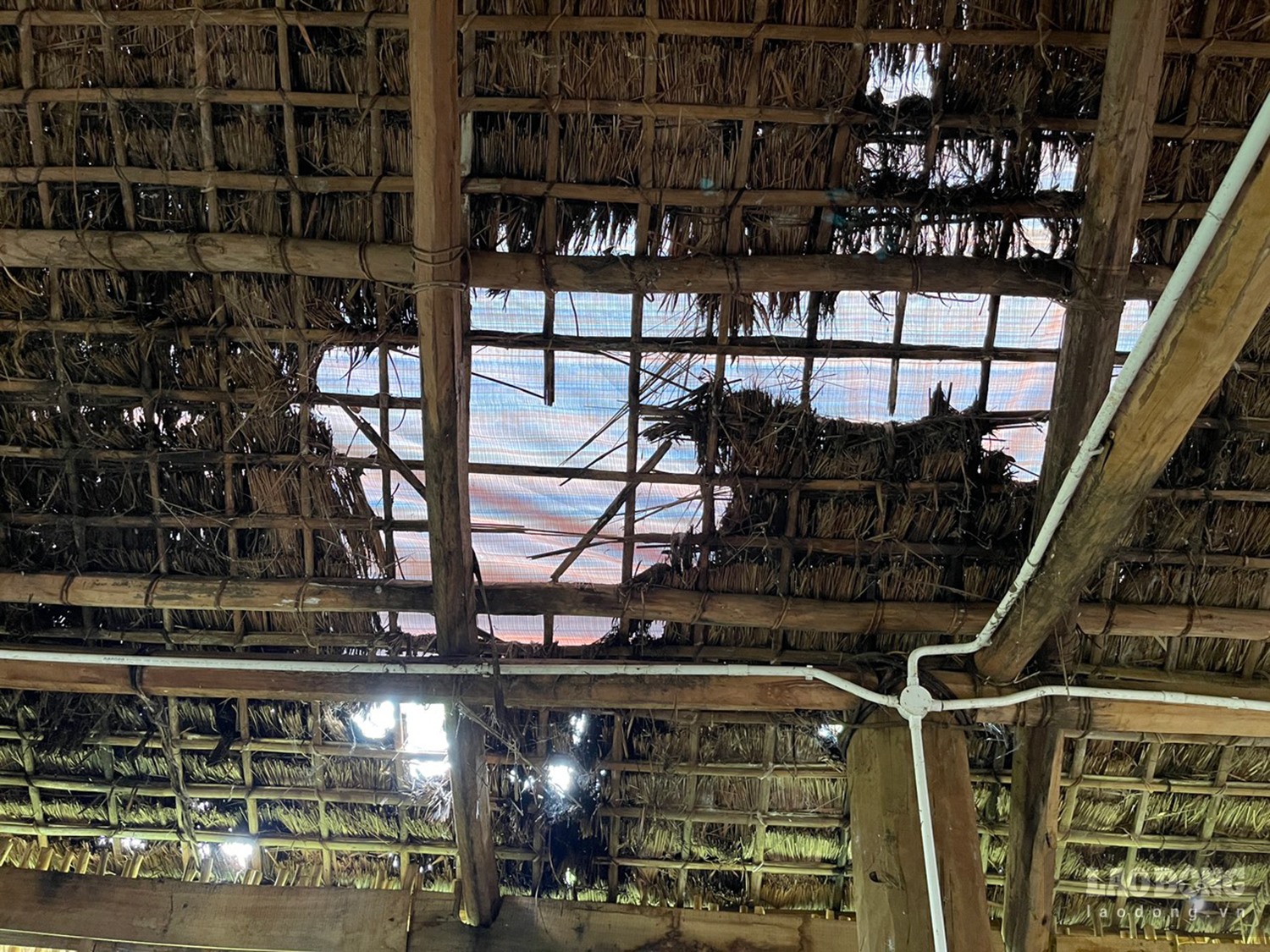 Mái nhà sàn trong khu bảo tồn rách nát. Ảnh: Ngọc Viên