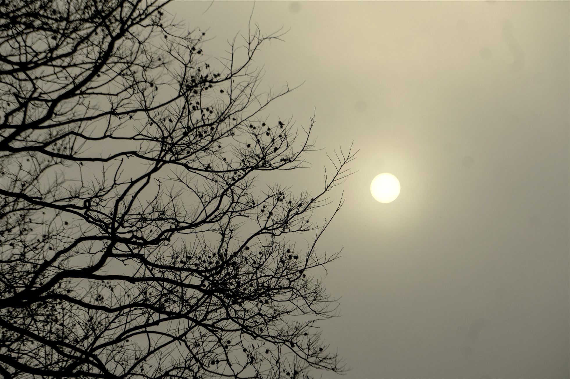 Sương dày đặc nên mặt trời lên trễ. Ảnh: Nguyễn Điện Ngọc
