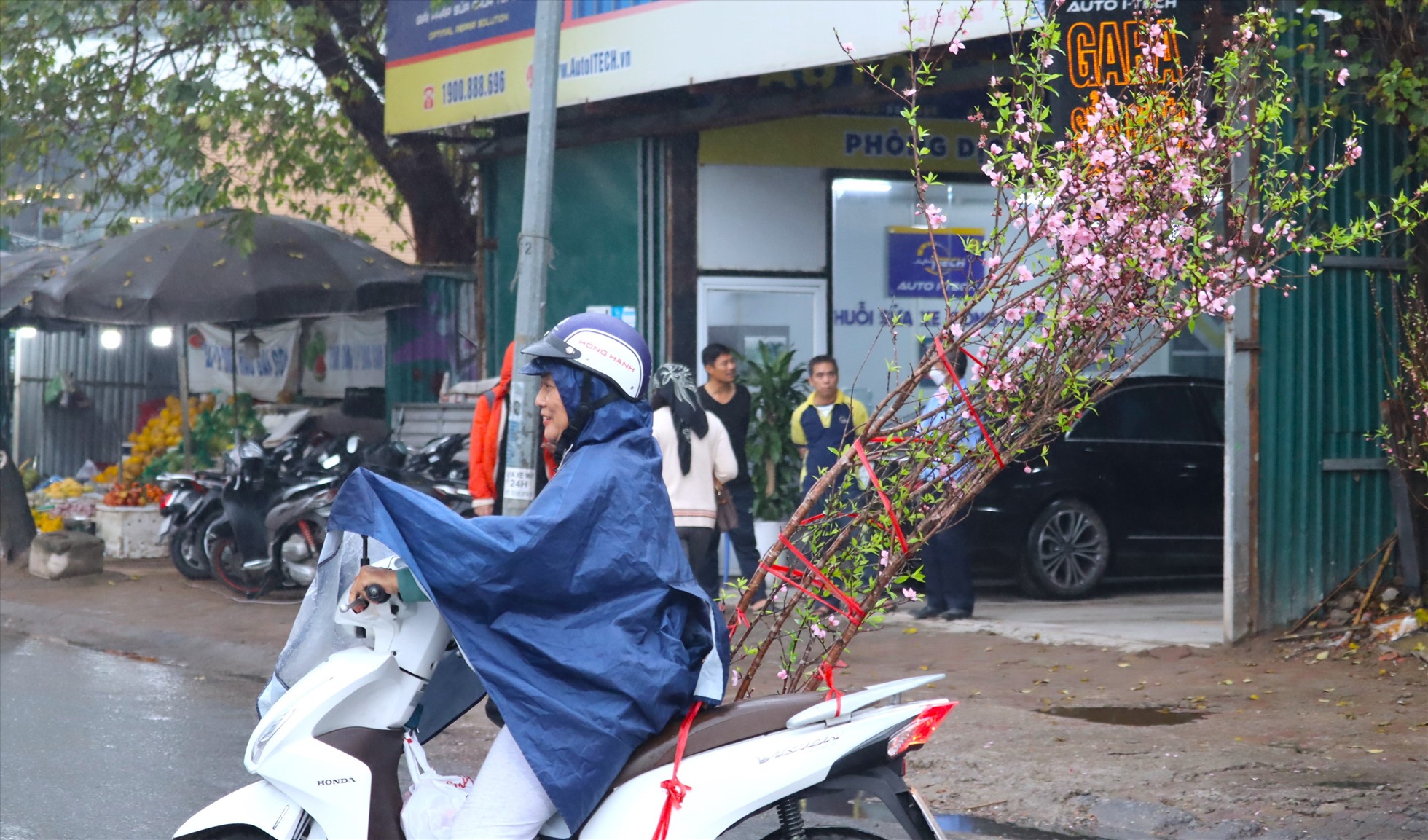 Sau Tết Nguyên đán, sắc hoa đào một lần nữa tràn ngập đường phố Thủ đô khiến nhiều người lưu luyến.