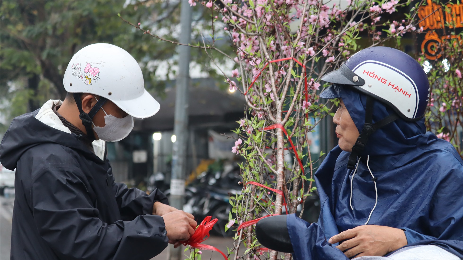 Sau Tết Nguyên đán, sắc hoa đào một lần nữa tràn ngập đường phố Thủ đô khiến nhiều người lưu luyến.