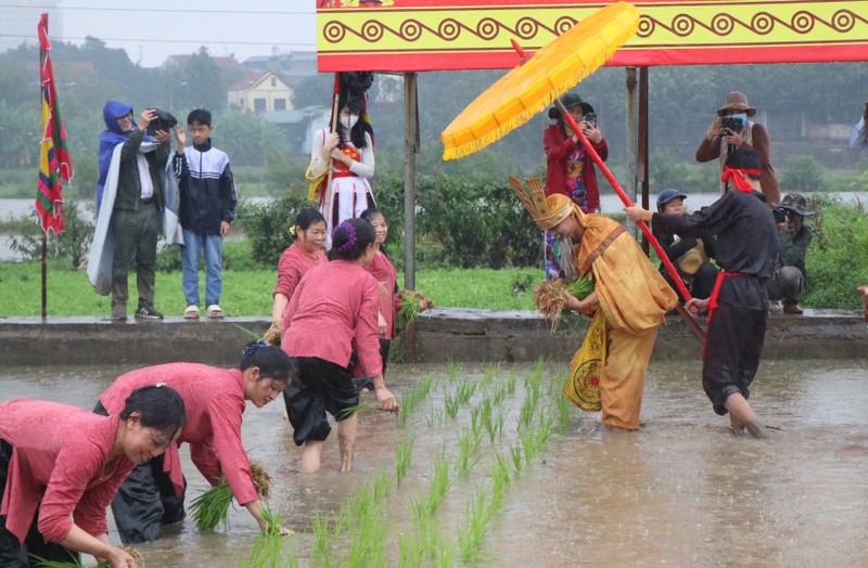 Đây là lễ hội duy nhất mang tính đặc trưng, tiêu biểu khởi thủy nghề trồng lúa nước của cư dân nông nghiệp Việt Nam, gắn liền với thời đại Hùng Vương.