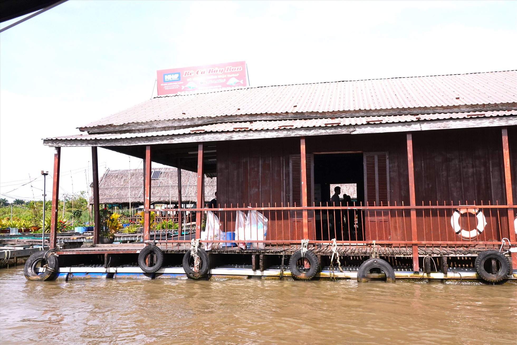 Nhóm học sinh gồm Trương Quang Huy, Đỗ Phú Minh cùng đến từ Trường quốc tế Anh Việt Hà Nội và Trần Việt Khôi đến từ Trường quốc tế Úc TP. HCM đã nhiều lần đến tham quan, trải nghiệm tại Bè cá Bảy Bon của ông Lý Văn Bon ở Cồn Sơn (TP. Cần Thơ), nơi đang nuôi và bảo tồn nhiều loài cá quý hiếm của sông Mê Kông.