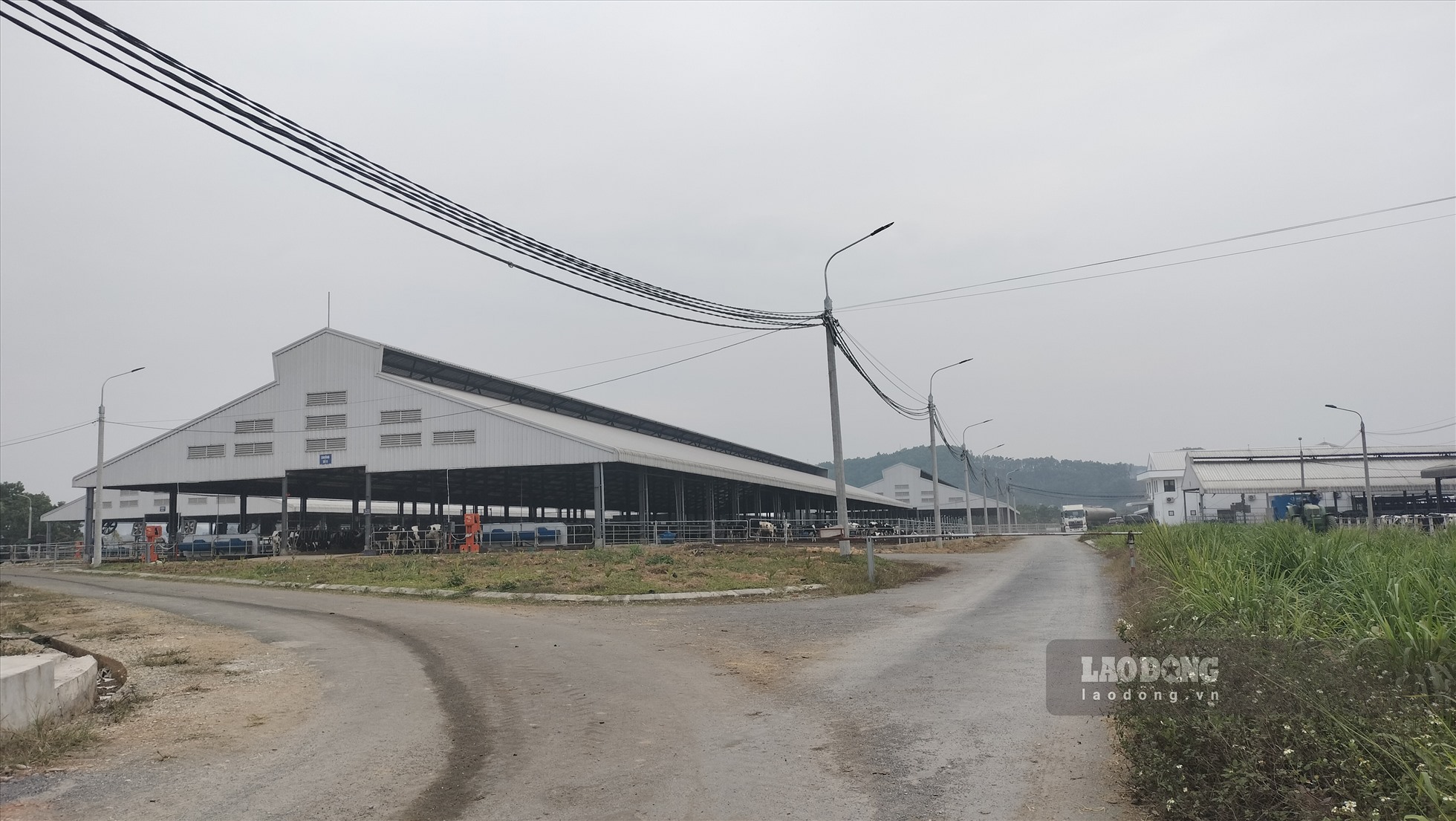 Được biết, trang trại bò sữa này là của Công ty Cổ phần Hồ Toản, được xây dựng tại thôn 14, xã Mỹ Bằng, huyện Yên Sơn từ năm 2016, đi vào hoạt động năm 2017, với tổng mức đầu tư ban đầu trên 125 tỉ đồng, do ông Lương Huy Toản làm Tổng Giám đốc.