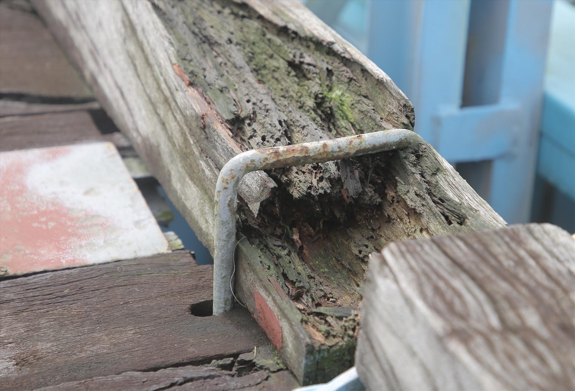 Phần gỗ trên cầu bị mục ruỗng. Ảnh: Hưng Thơ.