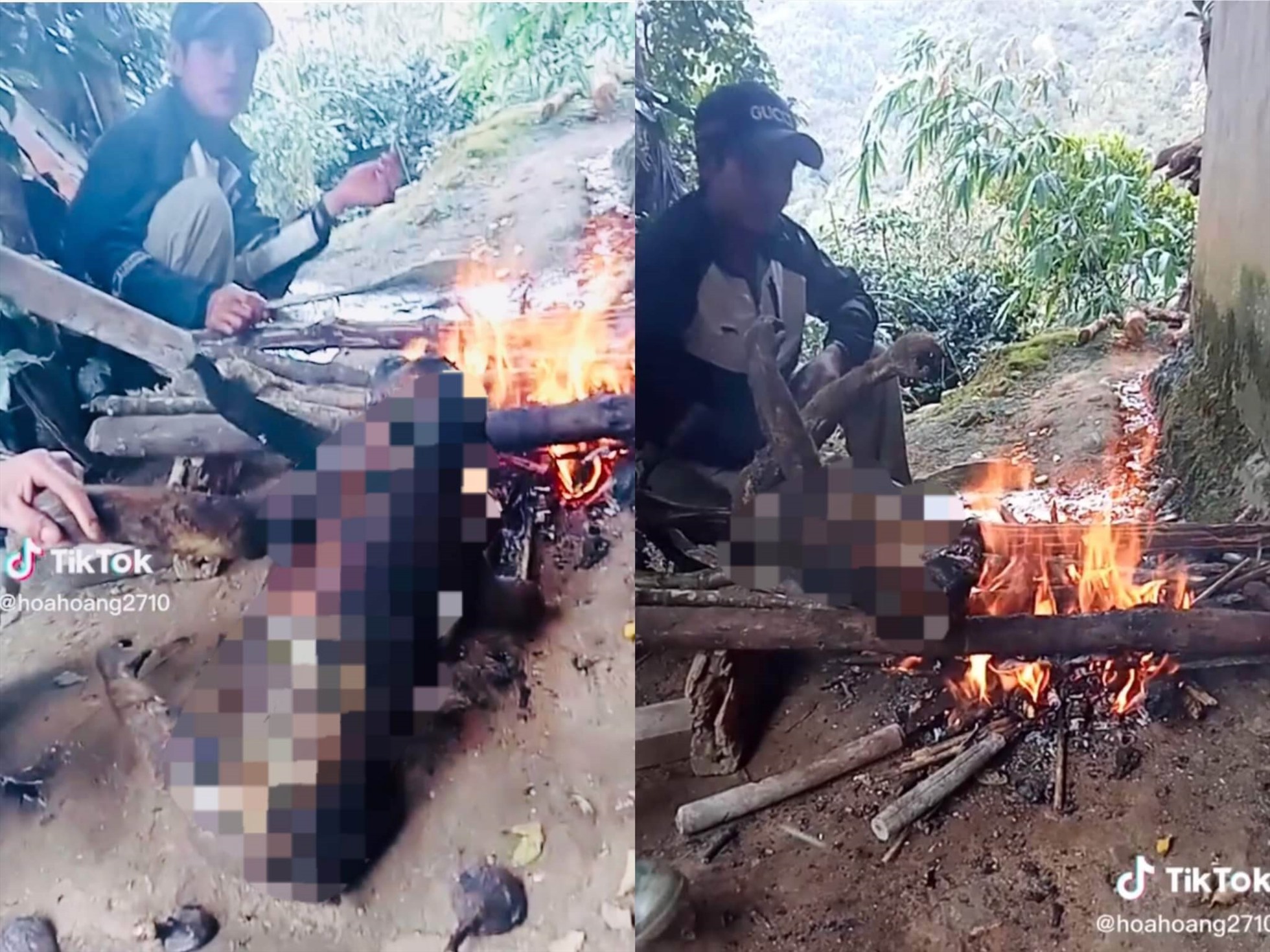 Hình ảnh trên video được đăng tải trên TikTok cho thấy hai người đàn ông đang nướng cháy một cá thể khỉ. Ảnh chụp màn hình: Hương Giang