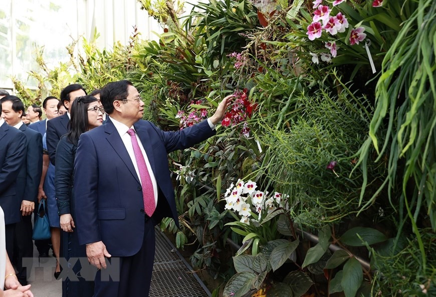 Thủ tướng Phạm Minh Chính và Phu nhân gắn biển tên cho cây hoa lan mang tên Pham Le Tran Chinh. Ảnh: TTXVN