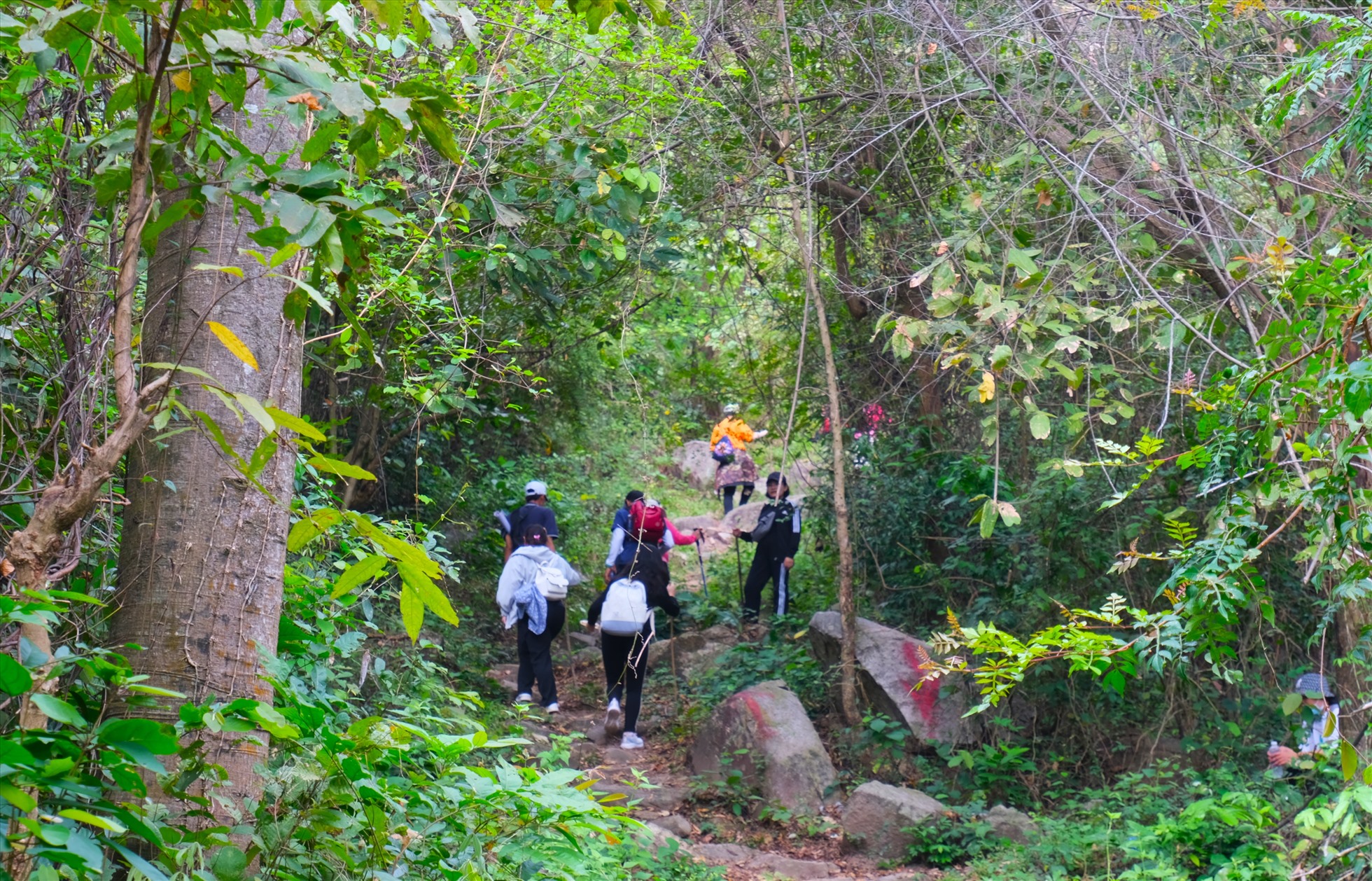 Đoàn trekking tiến vào khu vực núi Cấm khám phá thiên nhiên hoang dã, lần lượt đi qua các điểm: hàng còn, đường mòn, ngã 3 đường lên Điện cây Quế và chùa Phật nhỏ, Điện Cây Quế, Suối Thanh Long, Vườn xoài.