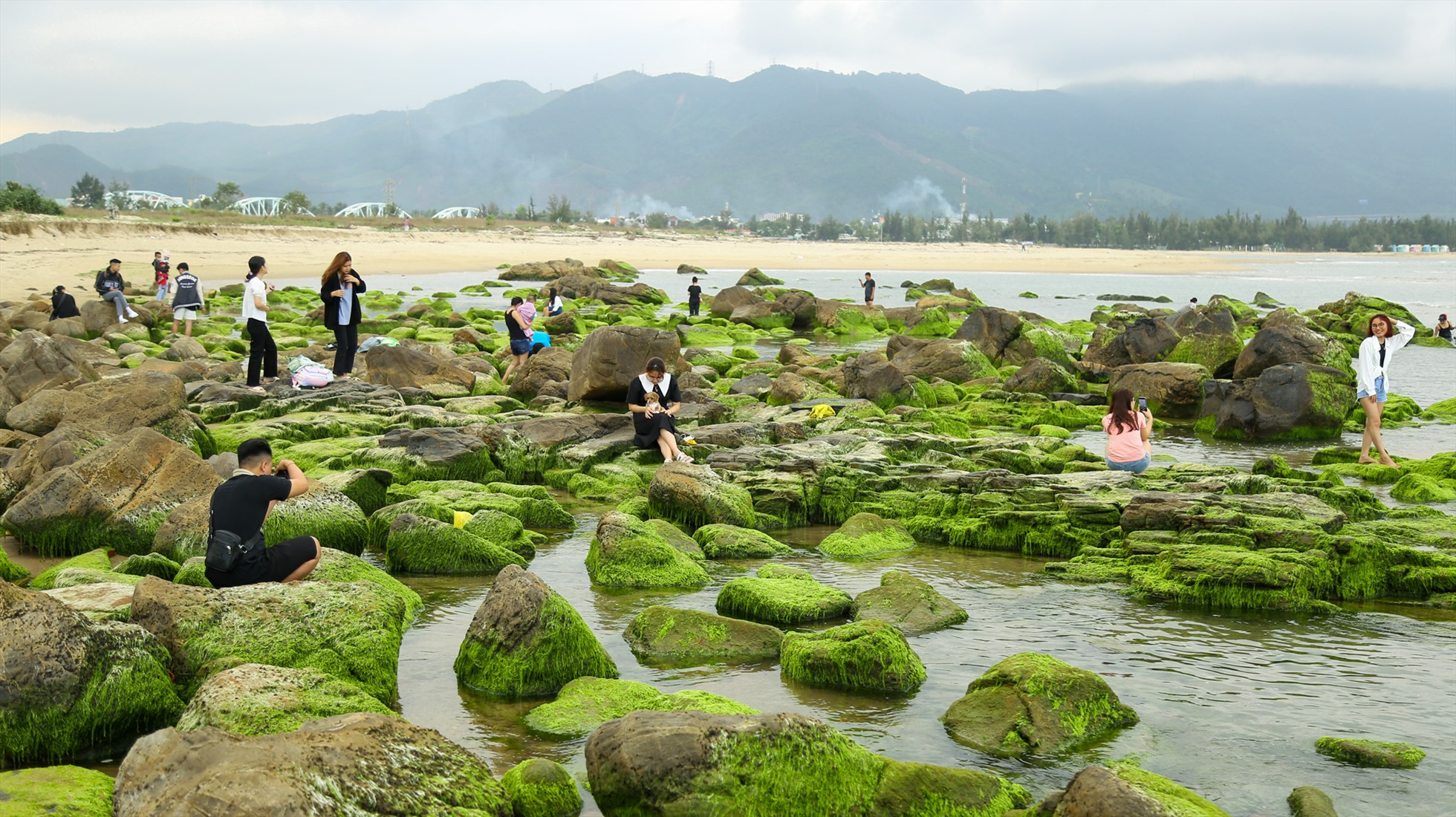 Cách trung tâm TP. Đà Nẵng 20km về phía Tây Bắc, ghềnh đá Nam Ô vào những ngày đầu tháng 2 được bao phủ bởi một màu rêu xanh mướt.