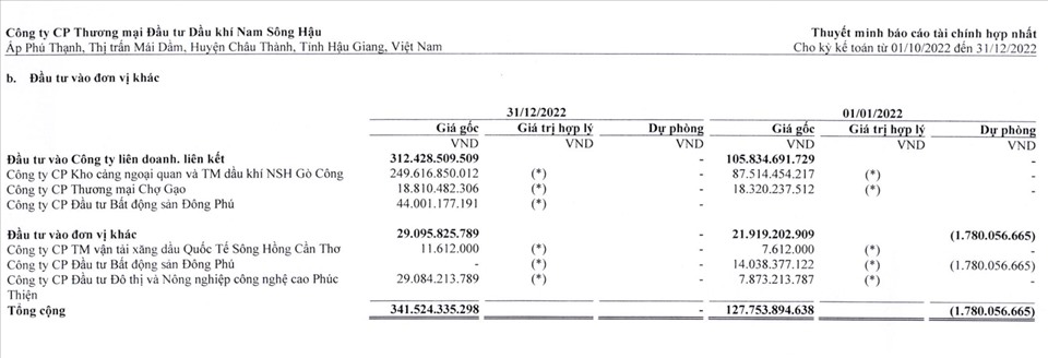 Ảnh: Trích chụp báo cáo tài chính của Dầu khí Nam Sông Hậu.