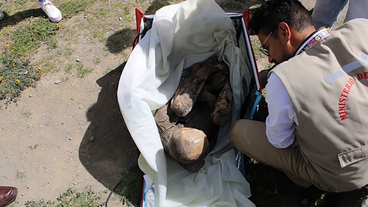 Xác ướp trong tư thế bào thai được đặt bên trong chiếc túi giao đồ ăn. Ảnh: Bộ Văn hoá Peru