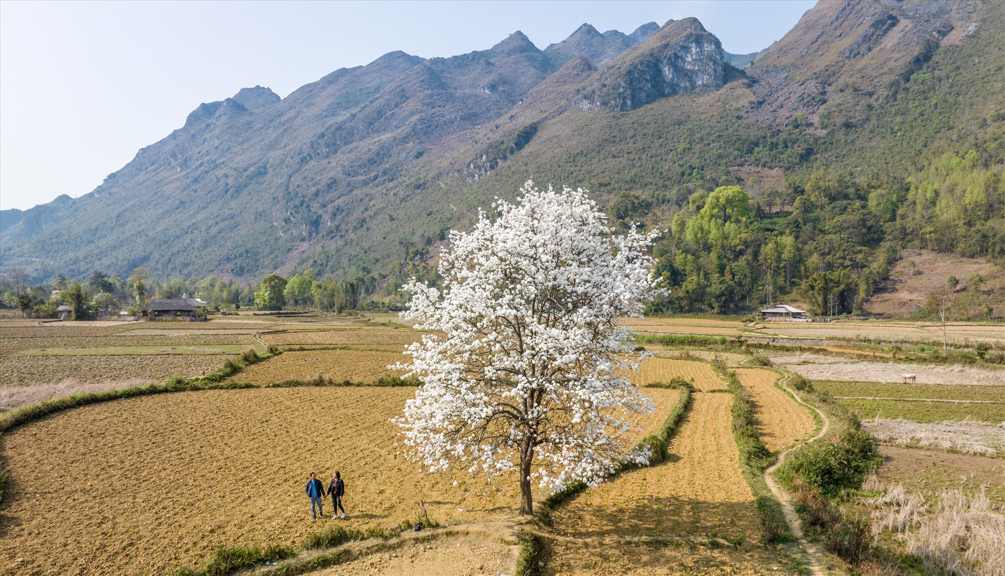 Chuyến đi ngắn chỉ vỏn vẹn 2 ngày nhưng lưu lại cho anh Chiêm và nhóm bạn nhiều cảm xúc: “Cảnh vật ở đây thực sự bình yên, hoang sơ và đặc biệt chưa có bàn tay con người can thiệp. Mình có hỏi các bác trong làng thì họ bảo bao năm nay ở đây vẫn vậy. Đặc biệt, con người ở đây rất thân thiện, mình từ homestay có hỏi một bác đường đến cây cô đơn mà bác đó nhất định đưa nhóm mình đến tận nơi, làm mình cảm động quá“.