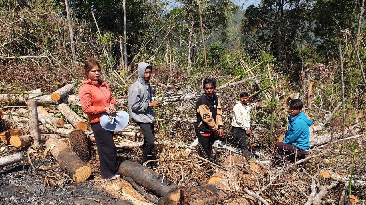 Công an huyện Đam Rông đang tạm giữ hình sự 5 đối tượng để điều tra, làm rõ hành vi hủy hoại rừng. Ảnh: Công an Đam Rông cung cấp