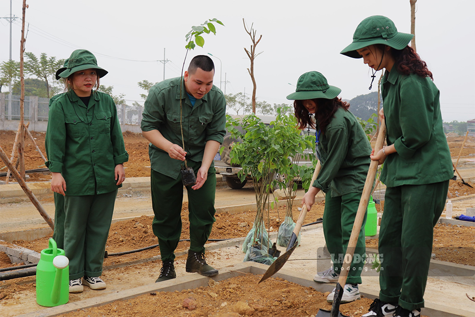 Mục tiêu không chỉ là ở số lượng cây được trồng mà chính là công tác chăm sóc cho cây xanh phát triển, góp phần cho mục tiêu cam kết thực hiện lộ trình đạt mức phát thải ròng bằng “0” vào năm 2050 của Việt Nam.