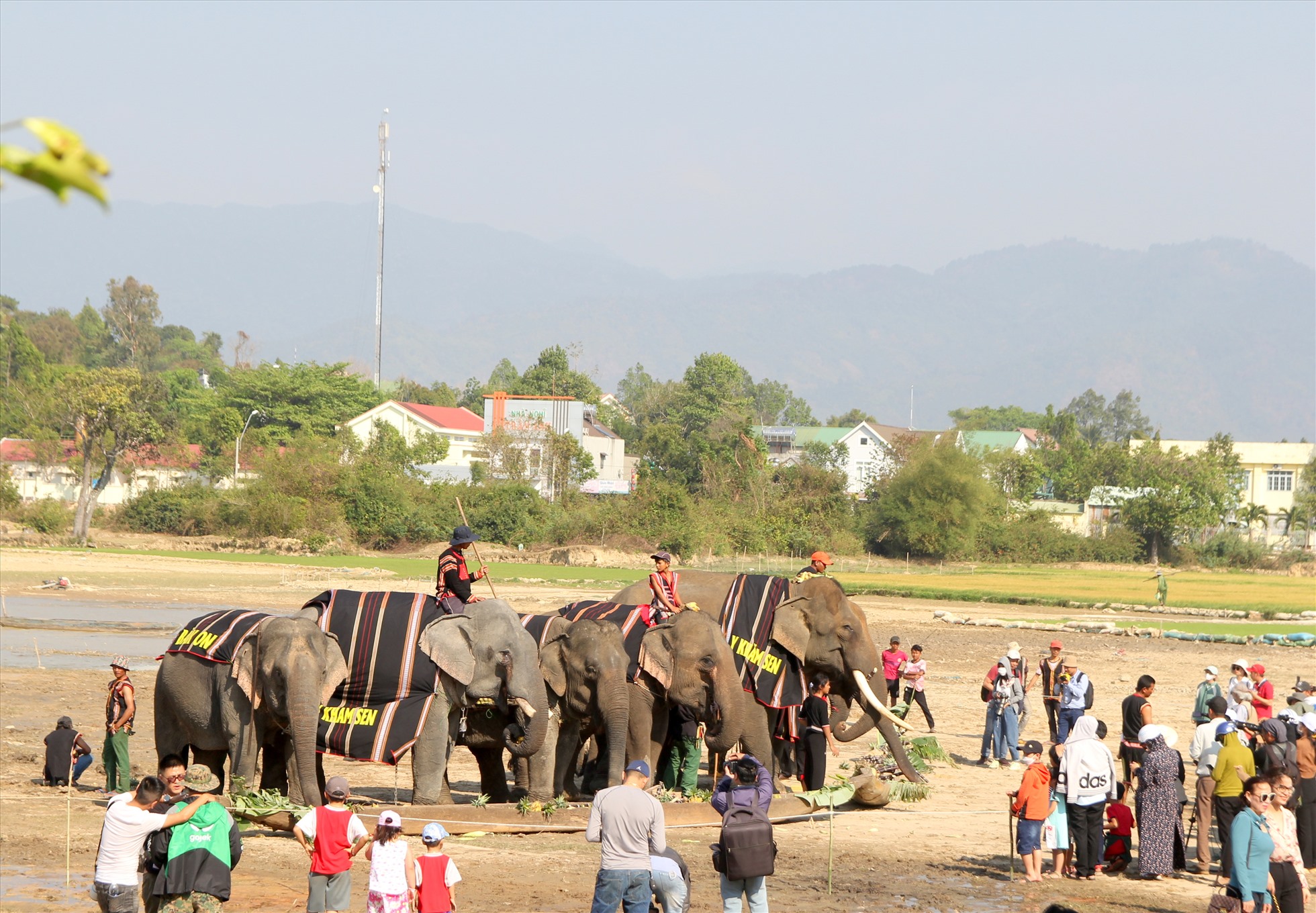 Nhiều khách du lịch, người dân địa phương đến xem tiệc buffet chiêu đãi voi. Ảnh: Phan Tuấn