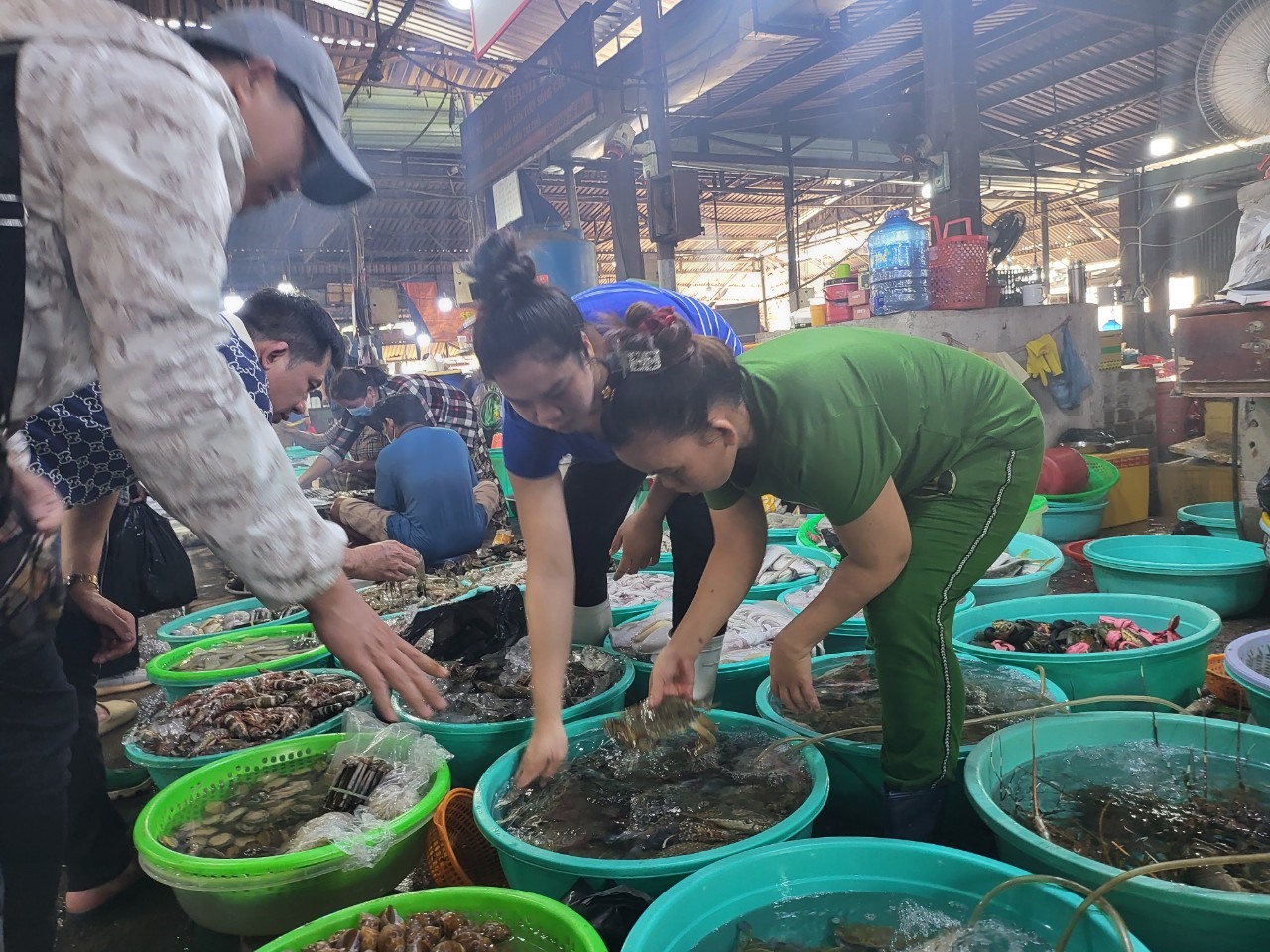 Hàng Dương là một khu chợ hải sản lớn và rất nổi tiếng bởi sự đa dạng và phong phú về các loại hải sản ngon, tươi sống nhưng giá cả vô cùng hợp lý.