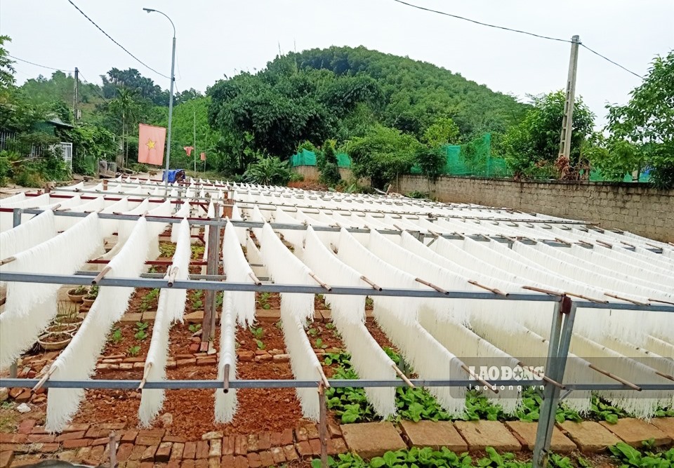 Cơ sở sản xuất mỳ, bún khô của đồng bào tái định cư tại xã Kim Phú (TP Tuyên Quang) đã có thương hiệu.